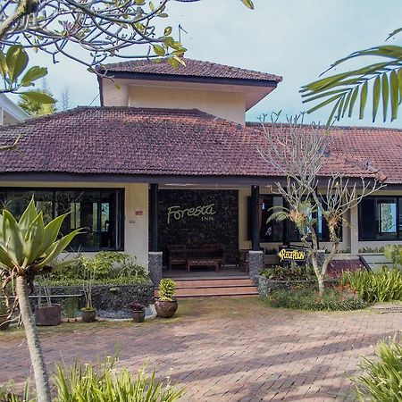 Foresta Inn Family Resort بريغين المظهر الخارجي الصورة